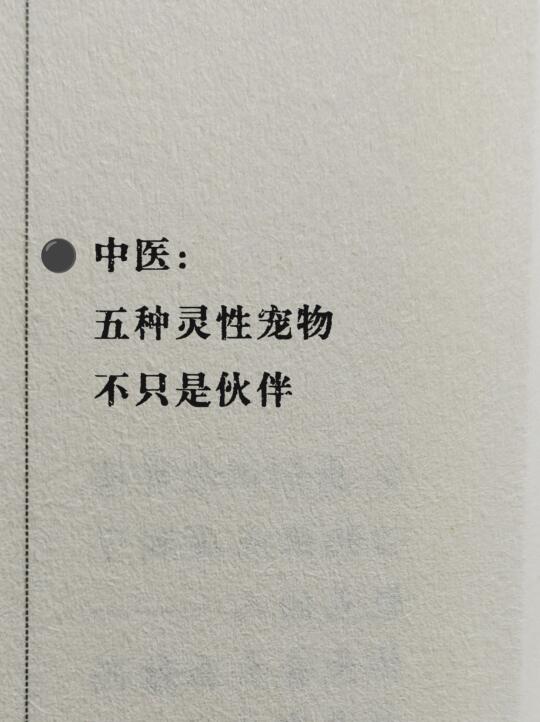 宠物一定要养对，健康好运来