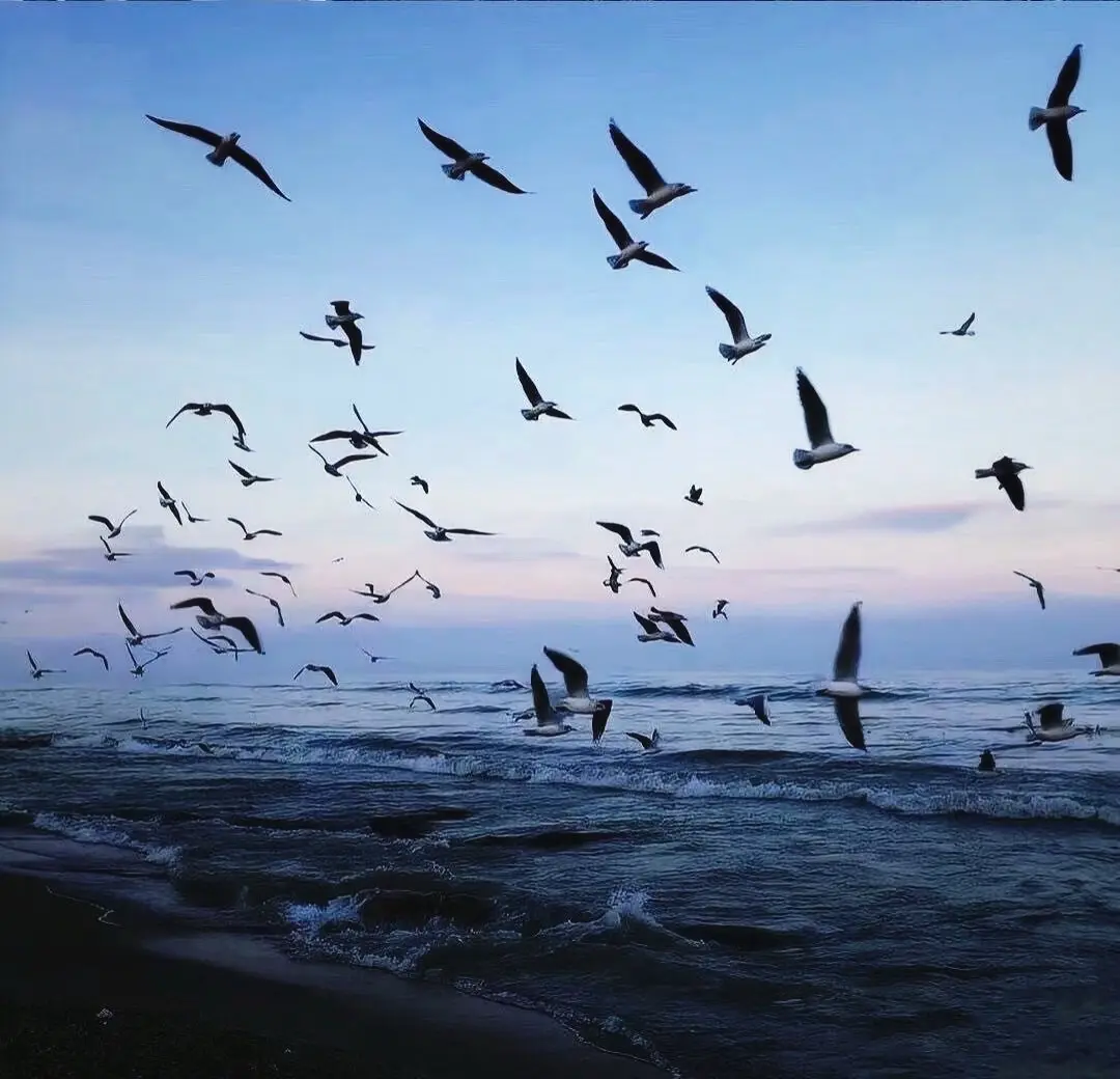 失约海