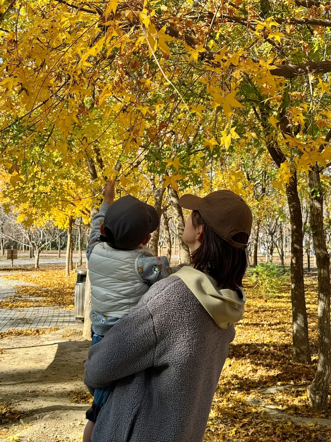 📱里的一些秋天🍁