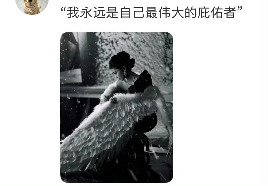 白鹿时尚芭莎年度盛典 会说的嘴 最珍惜自己羽毛的白鹿🪽 ​​​