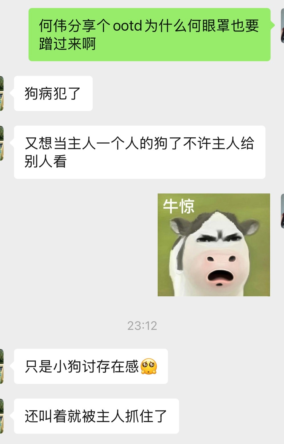 哎 小狗 🥺🐾 
