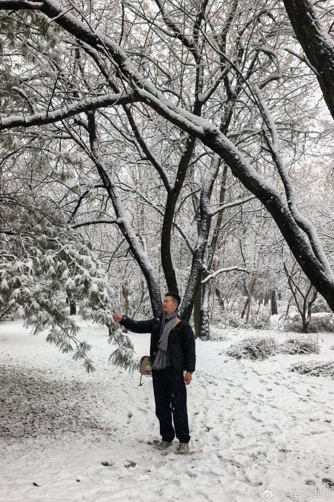 一眼分辨南方来的大土豆围着一小摊雪能玩一天半夜徒手下楼堆雪人几年难遇的雪算是给我