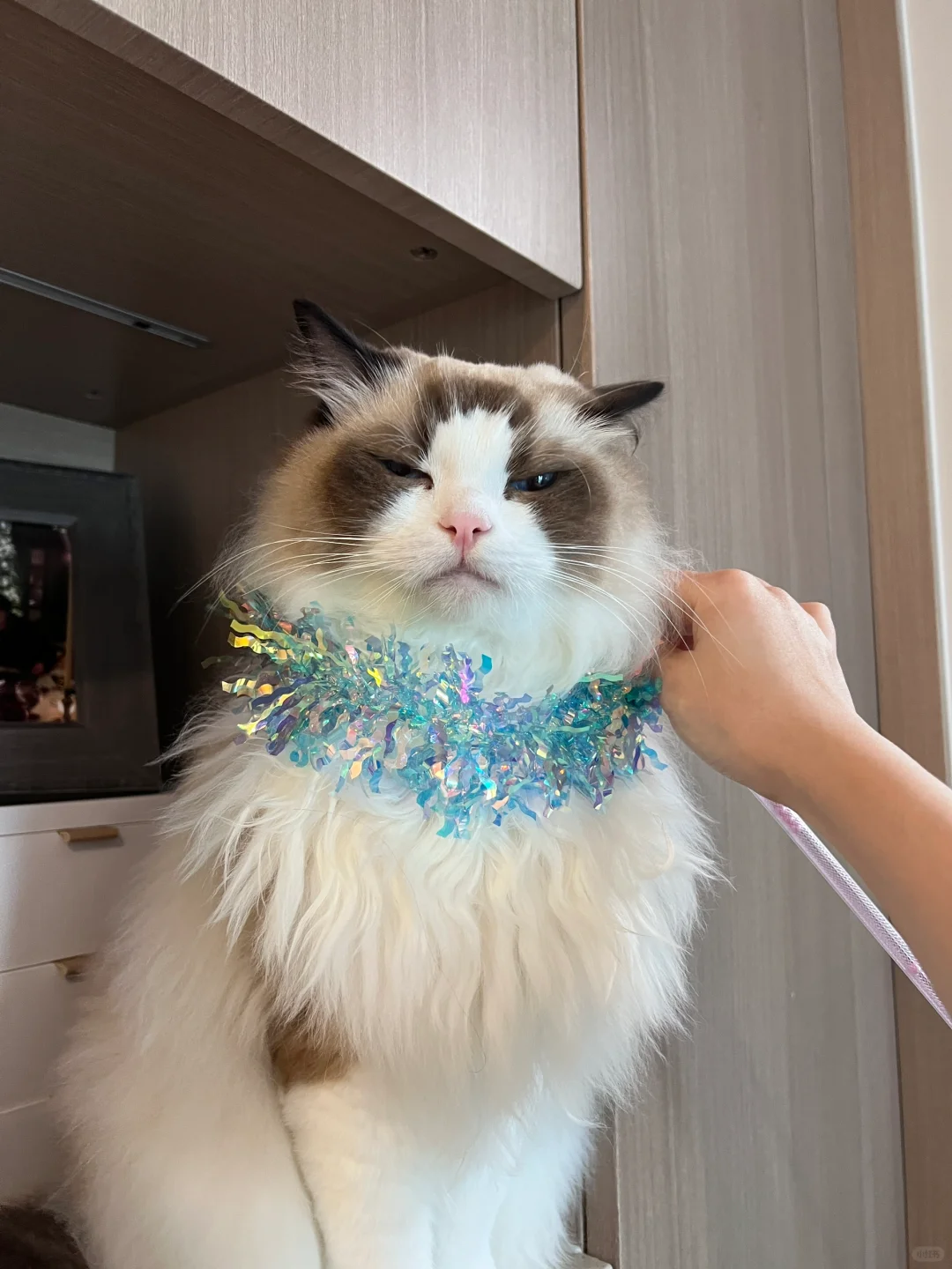 免费超闪亮新围脖get