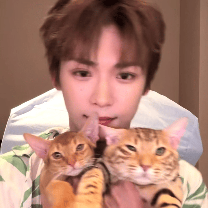 梓渝直播怎么会有这么萌的小孩 