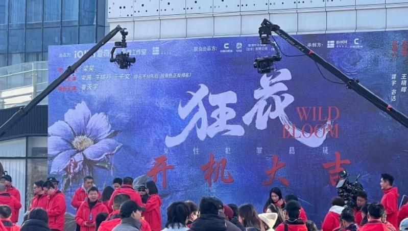 狂花 按角色正反排名内娱排番上新了 宋茜、王珞丹、王子文的狂花，按照角色正反排名