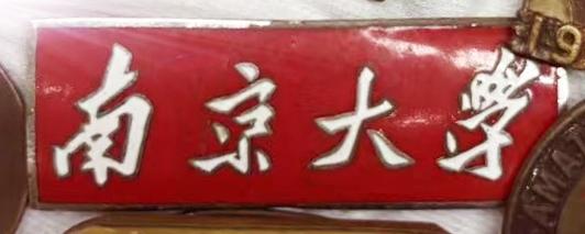 哪位老师知道南京大学4个字是谁提的？