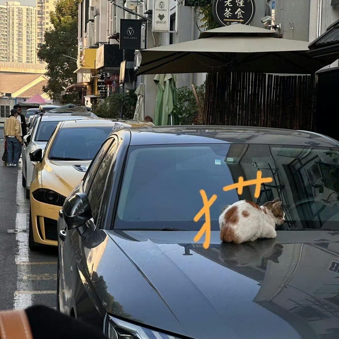 说句实在话，素老三那儿子，真不是外人嘴里说的那么“不着调”。

他带孩子，大夏天