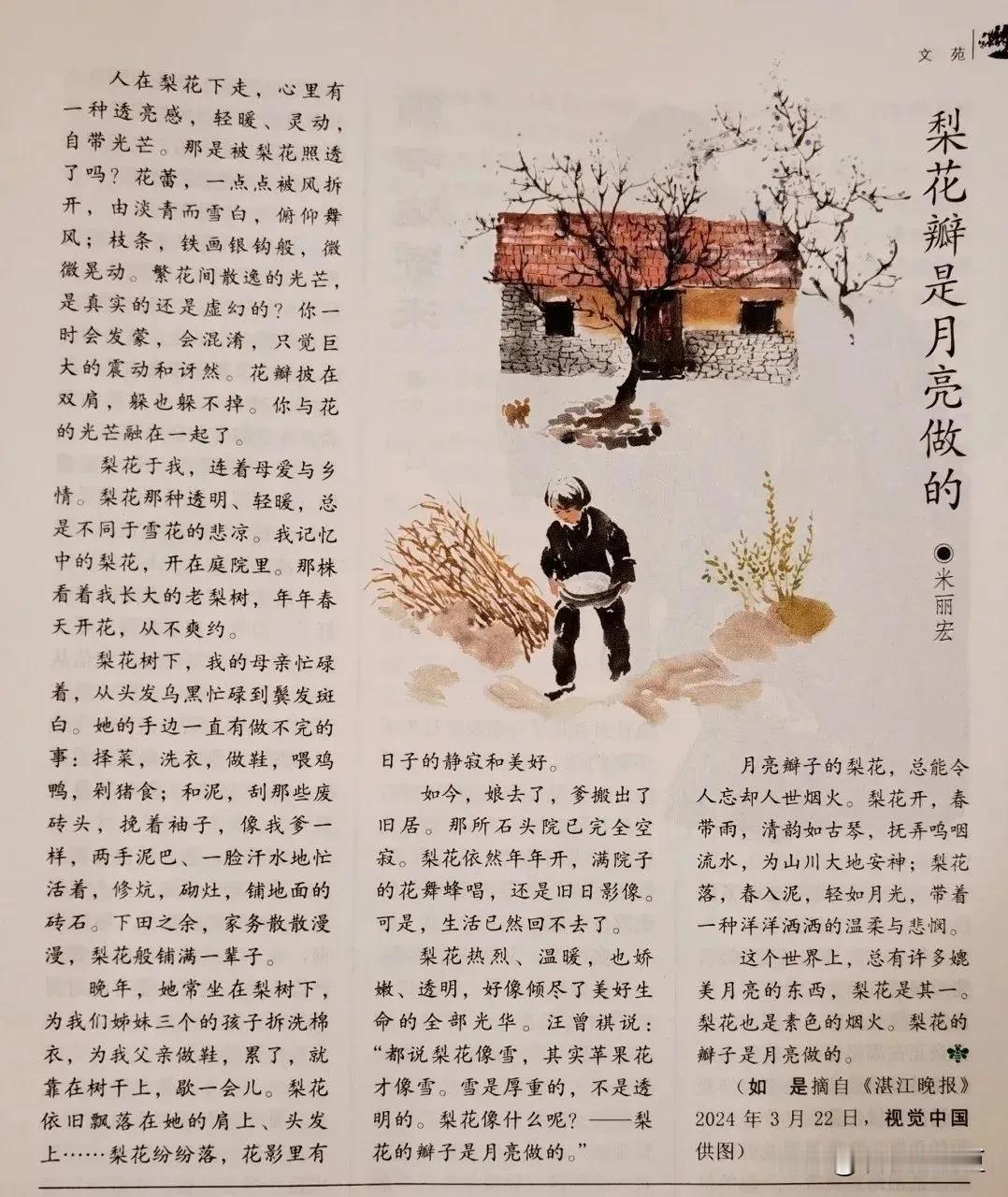 按照语文阅读理解的考试要求，对文章《梨花瓣是月亮做的》进行ai分析，得到的结果：