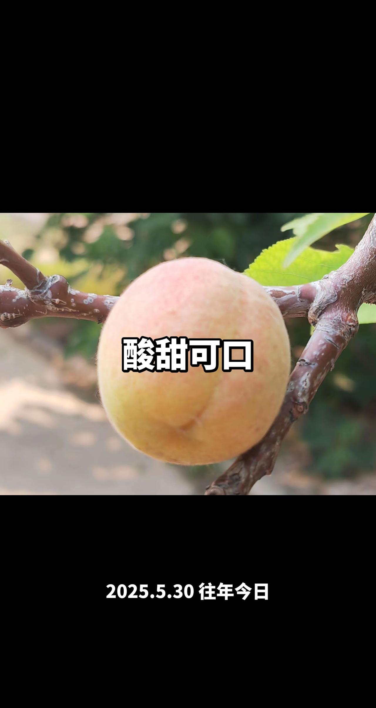 酸甜可口