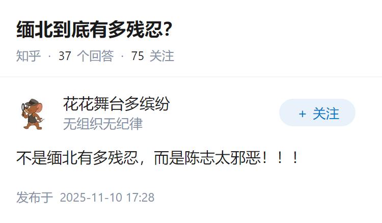 缅北到底有多残忍？