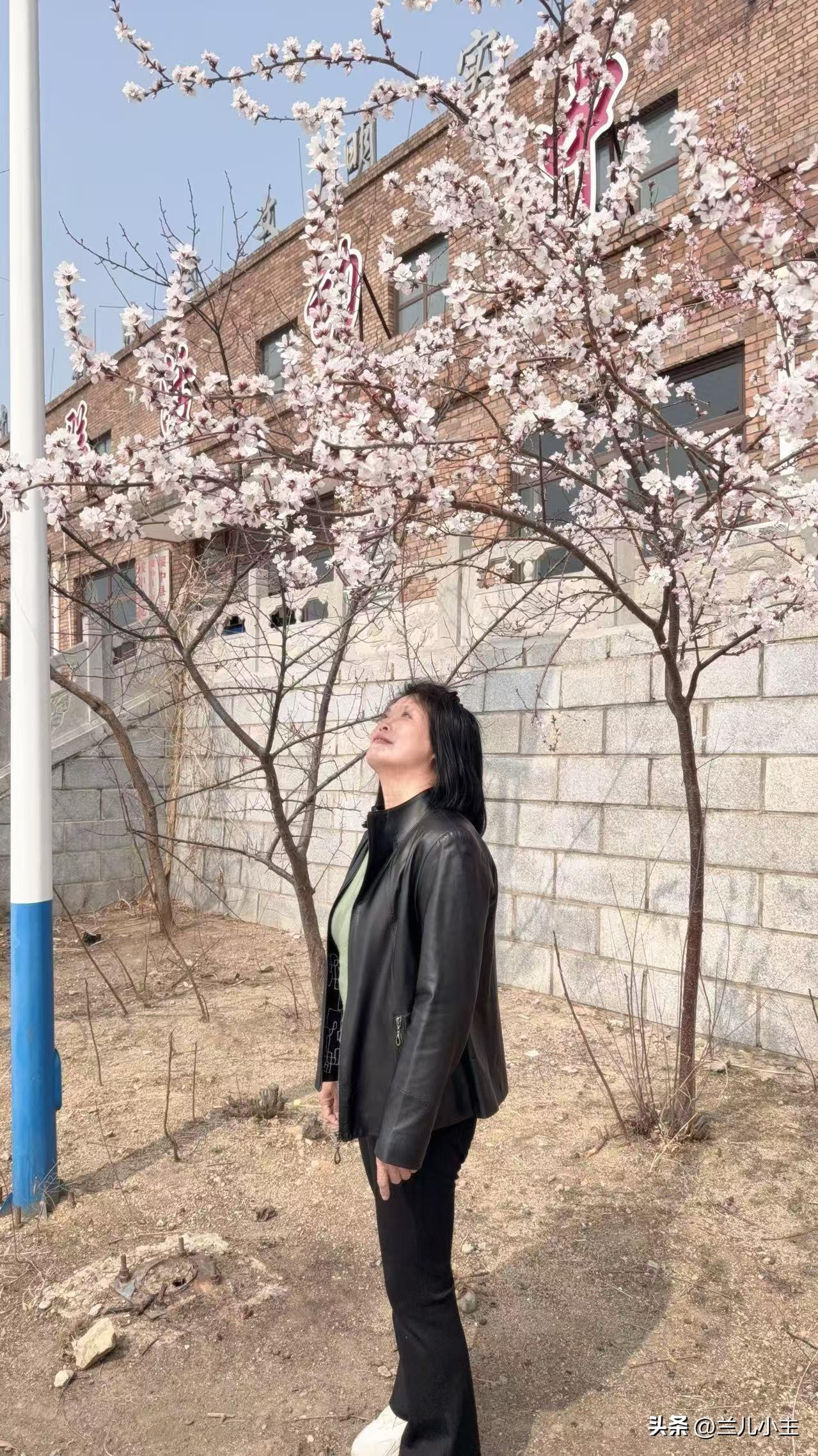 我站在树下看花开，眼里写满了欢喜。大概是越少越取贵吧！

等到大片花开，我也许早