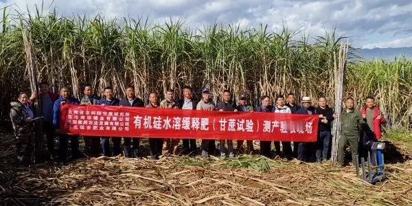 化州耀明糖厂因敞开收购广东、广西等地滞销果蔗被称为“全网最暖糖厂”，近期却请求不