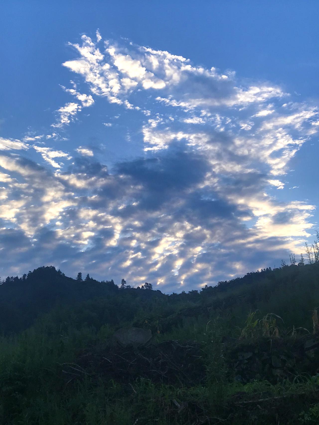 临安林家塘随拍到的雲景观