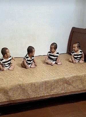 四个宝宝，早晨五点不睡觉，聚在一起开会，也不懂他们在探讨什么？

爹听不懂，娘听