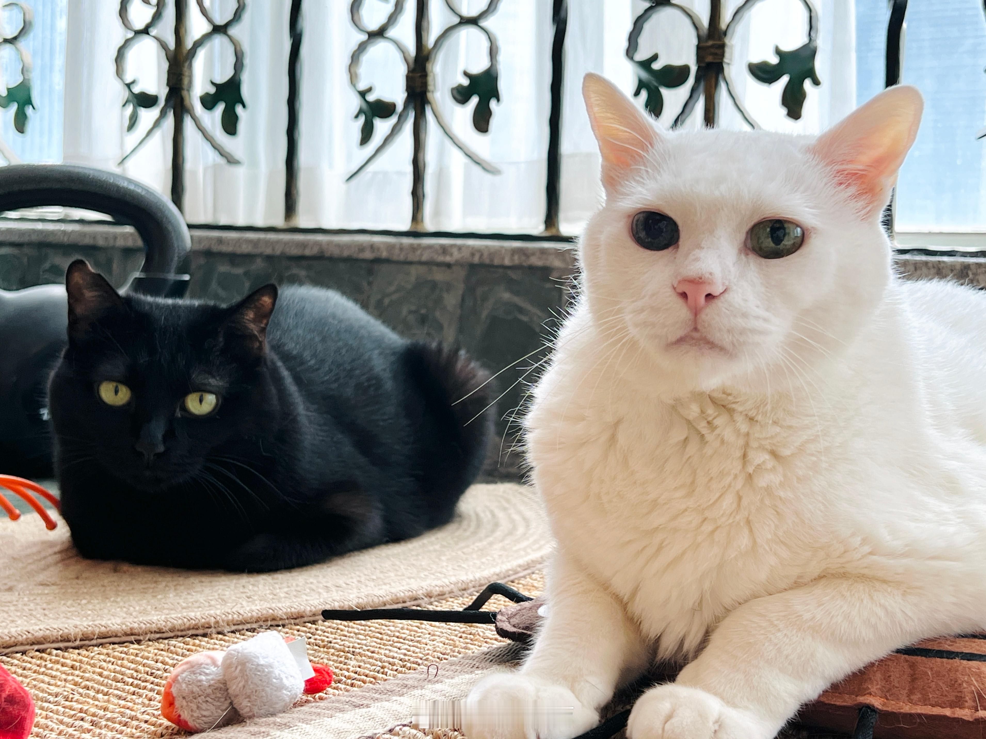 大小有差。 ​​​