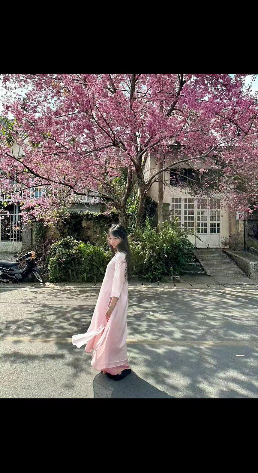 🌸粉裙被春风吻出褶皱，樱花雨落满肩头。时光在树影里打盹，而你是会走路的诗✨