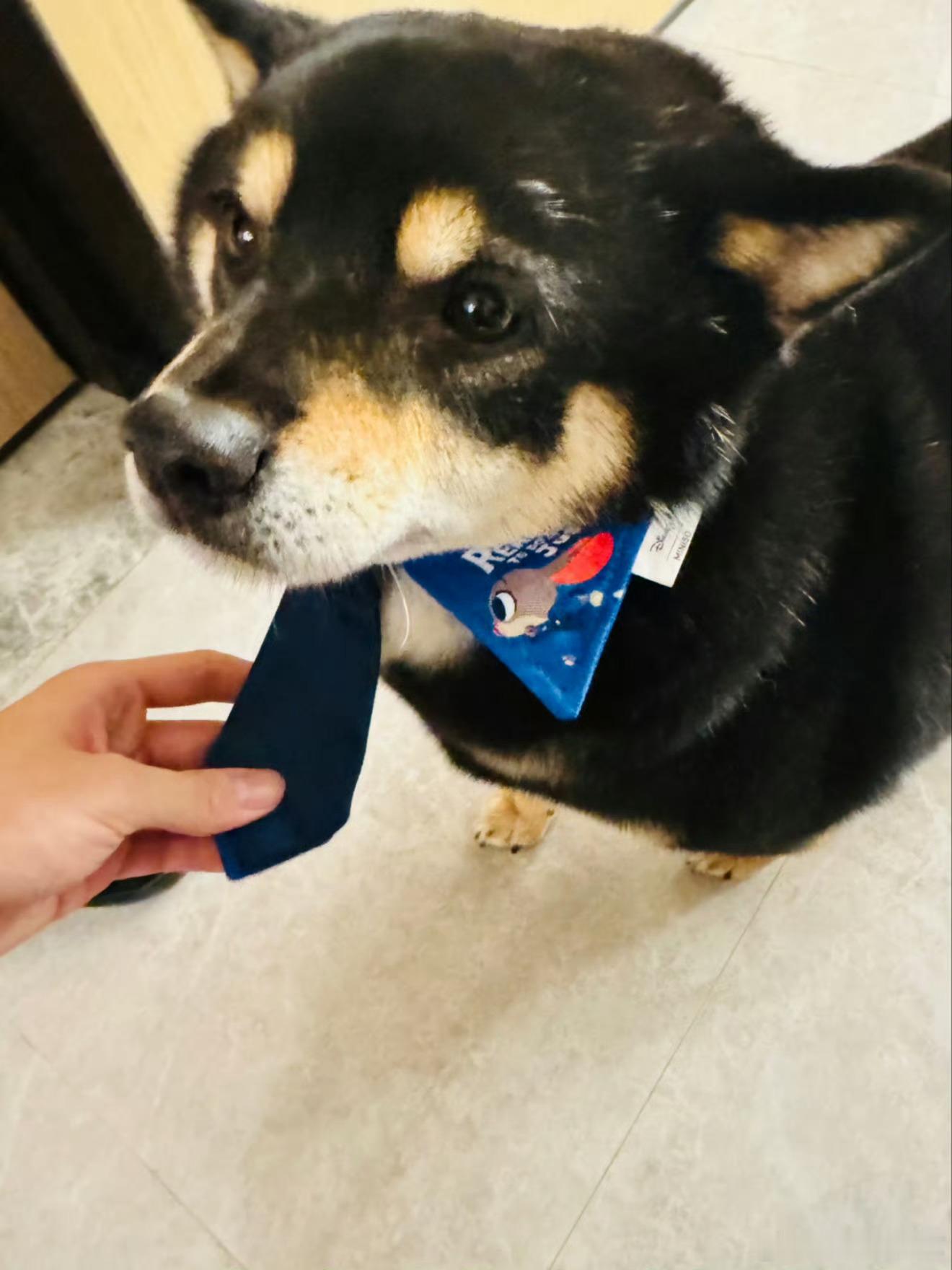 马嘉祺高会更新了六斤 