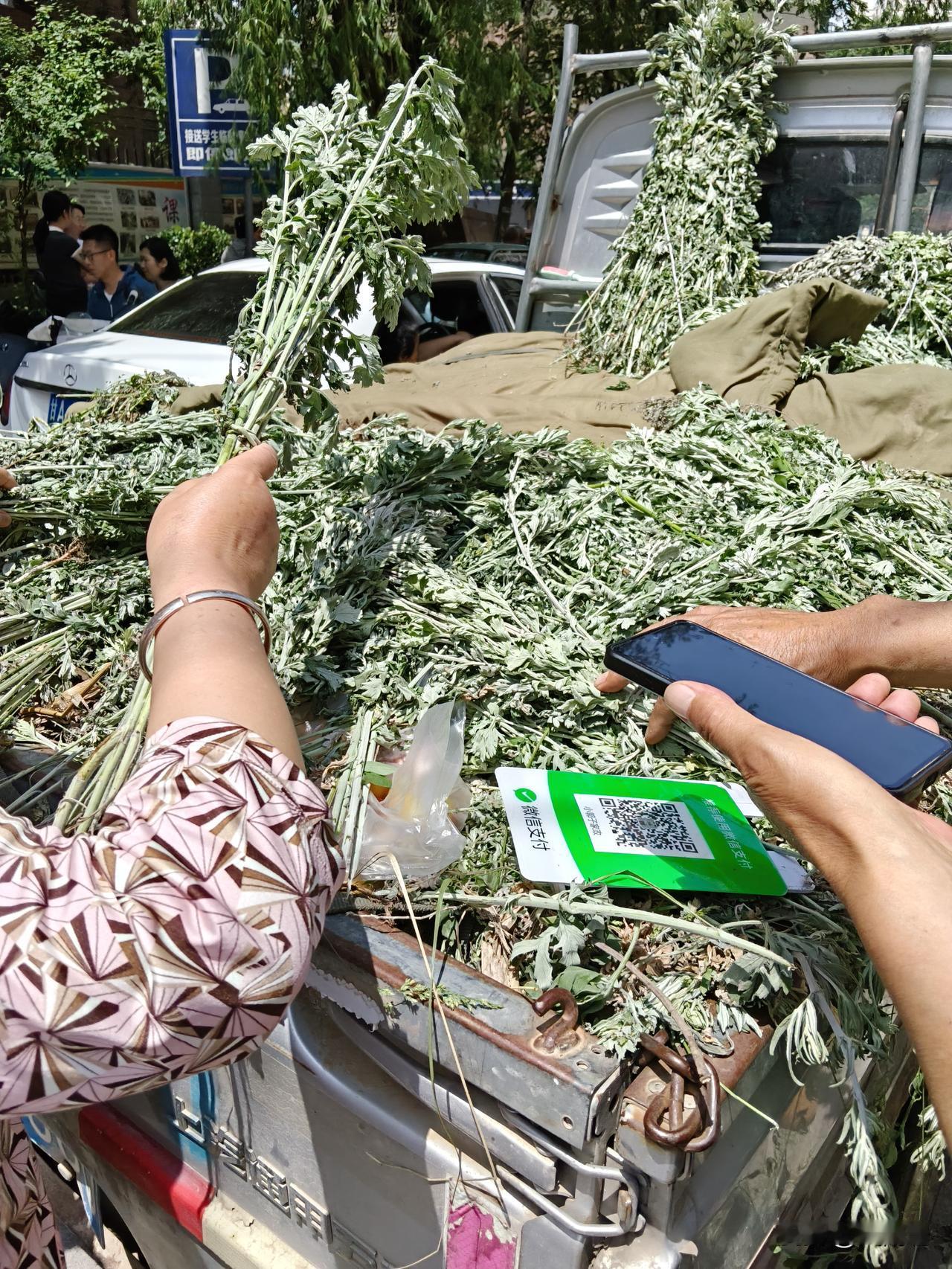 明天就是端午节了，这个端午节气氛也是越来越浓，马路边卖艾草的要发财了。

今天看