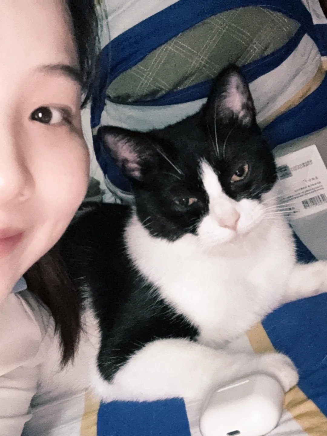 看看你和猫咪的合照