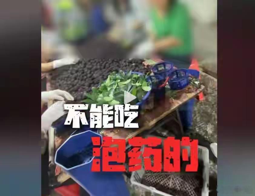 福建毒杨梅后续！商户主动下药 多人恐被刑事处罚，更严重的在后面浮宫杨梅被泡药水，