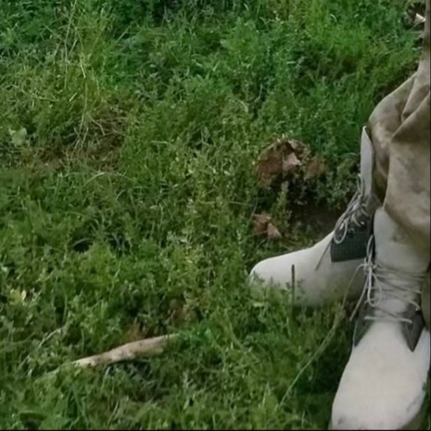 0000生命中，好多的事是这样，生活中，好多的情是这样，没有理由，也无需理由，爱