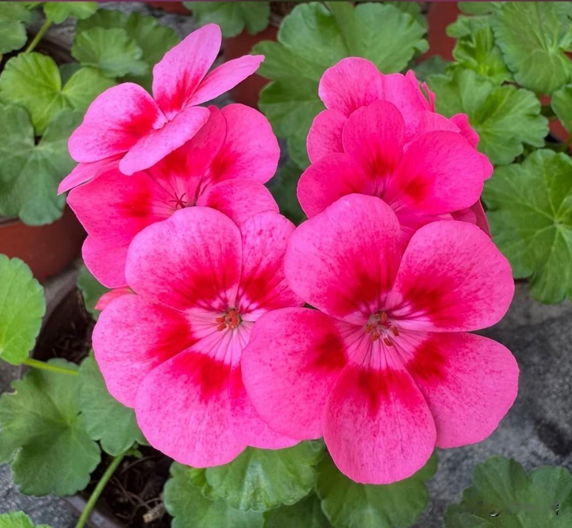 在时光的长河中，每一朵泛起的涟漪，都是生活馈赠给我们的温柔诗篇。