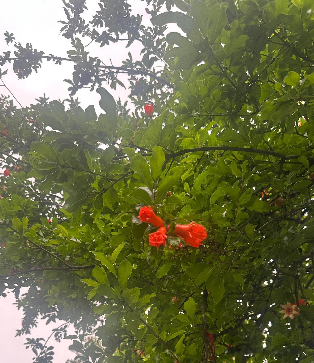 人在负债的时候，最痛苦的是什么？

是眼睁睁看着每月辛苦到手的钱，一点点流走，没