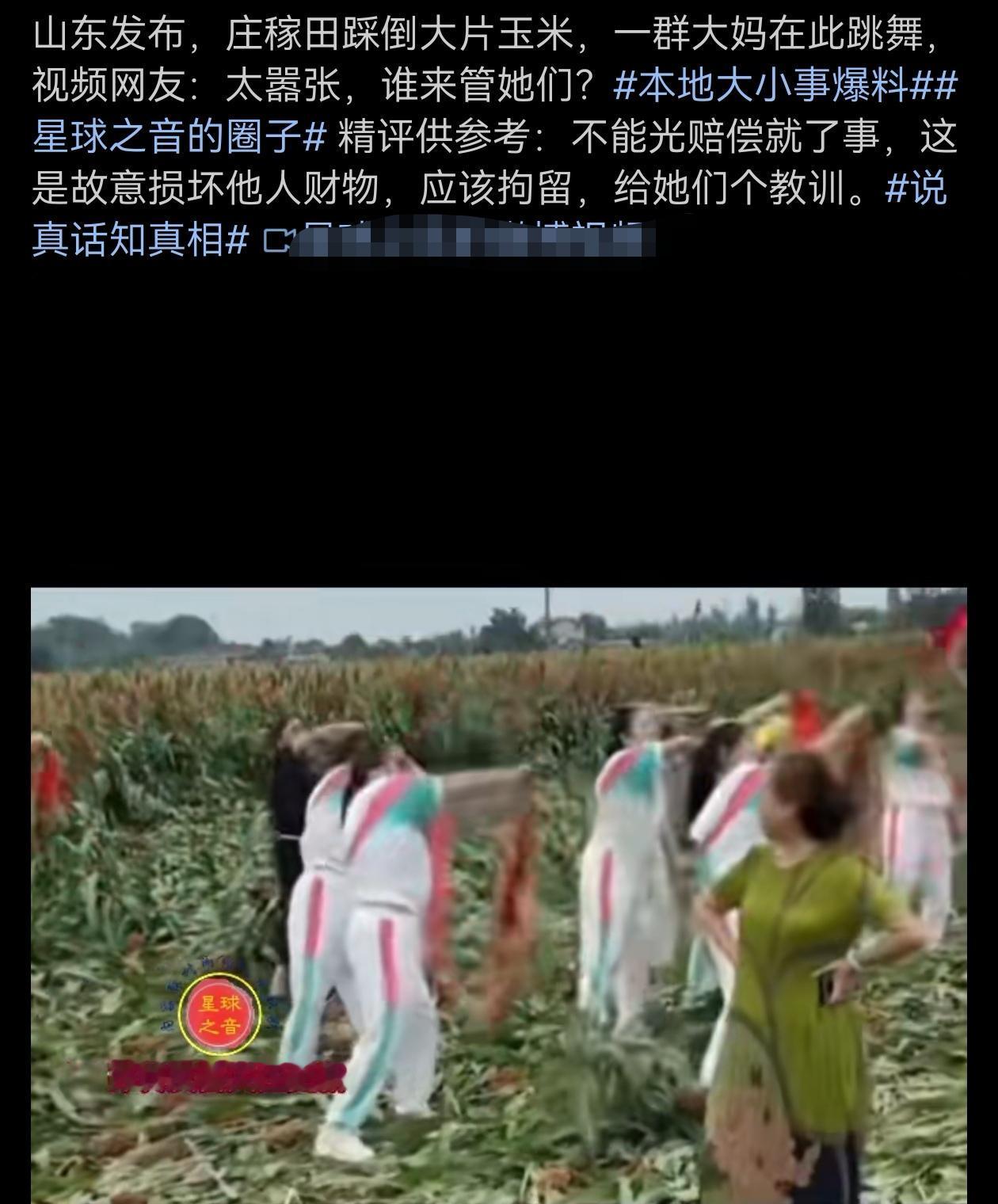 糟蹋了一大片庄稼，真是跑到哪里都是祸害！