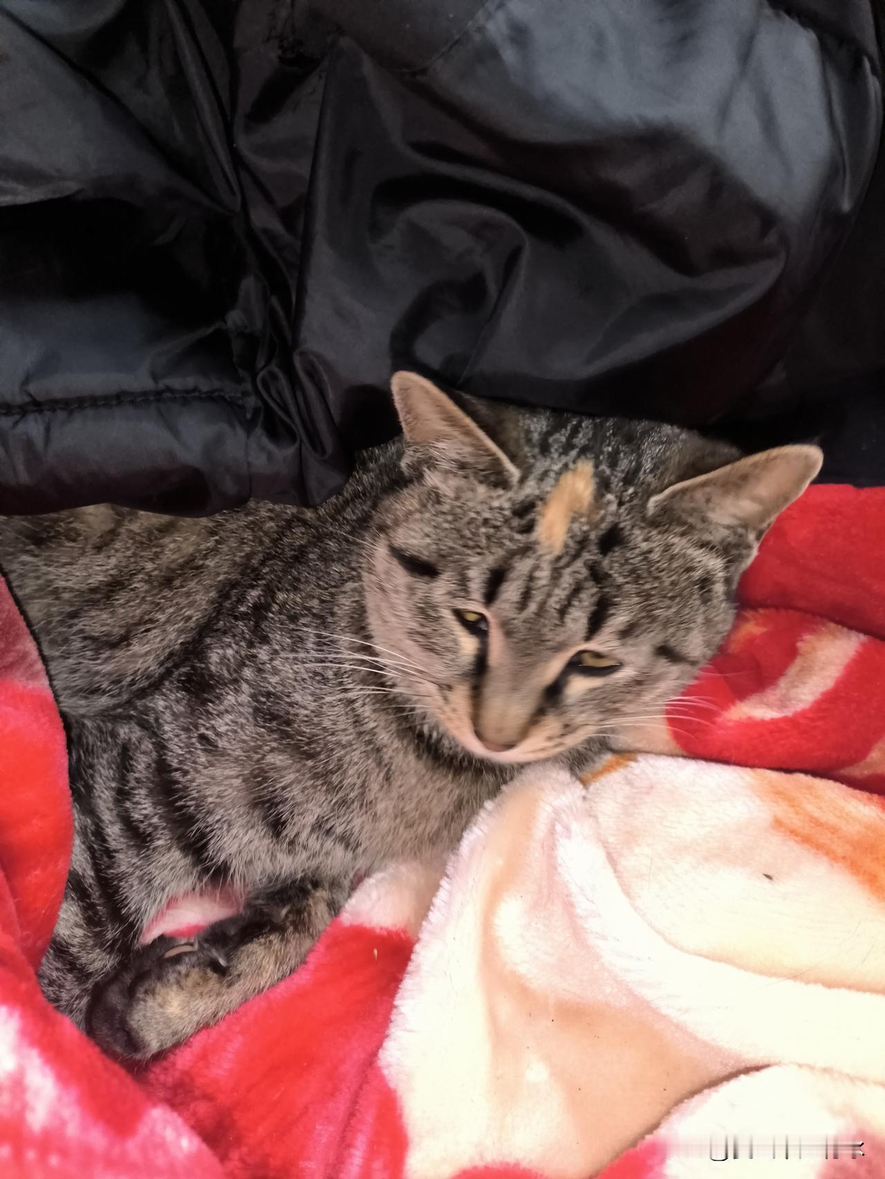 城市里的离婚率高得惊人。
农村中离婚的夫妻相对较少。
有人说，在离婚的夫妻里，女