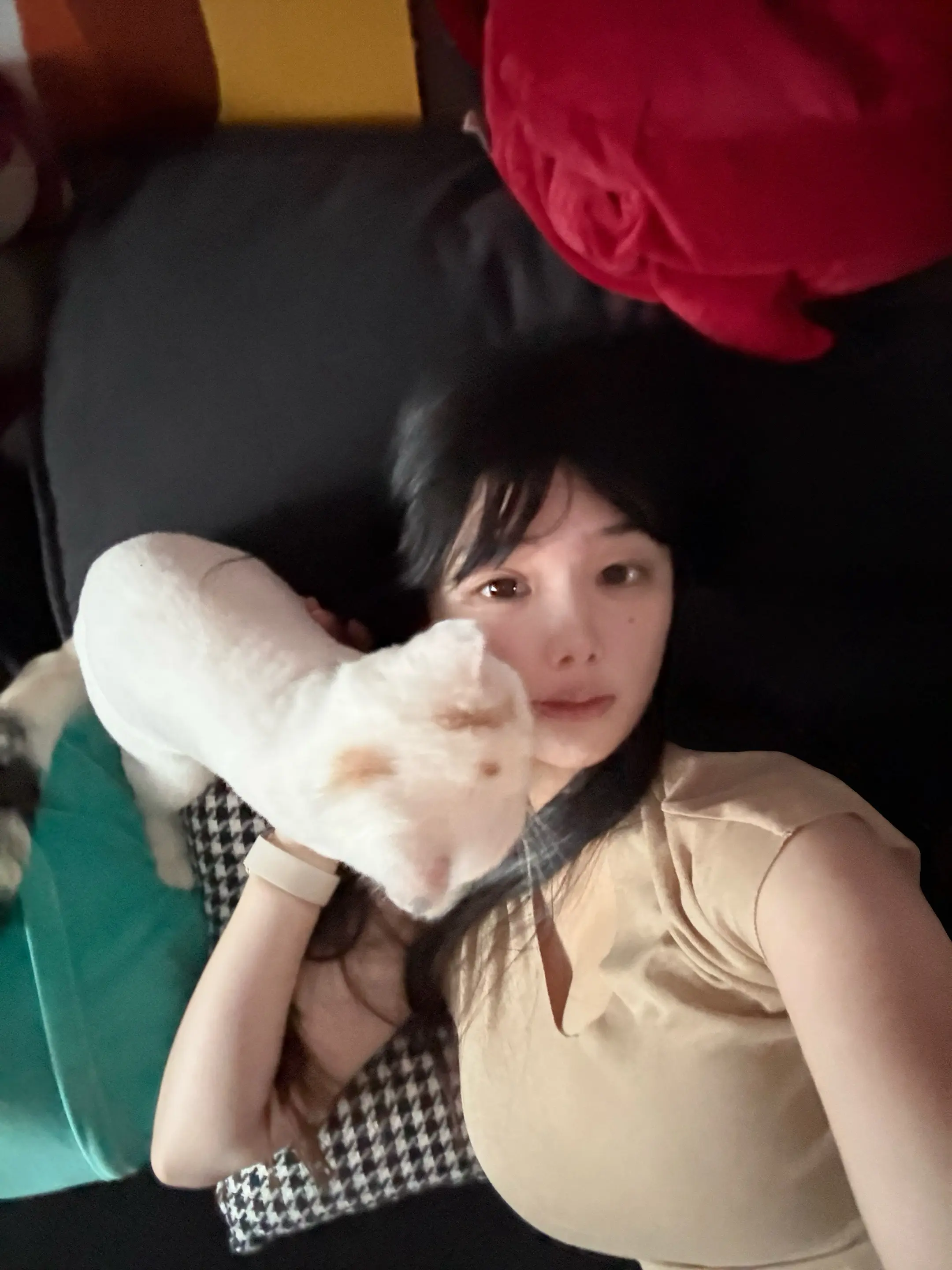 和小猫ฅ^•ﻌ•^ฅ。