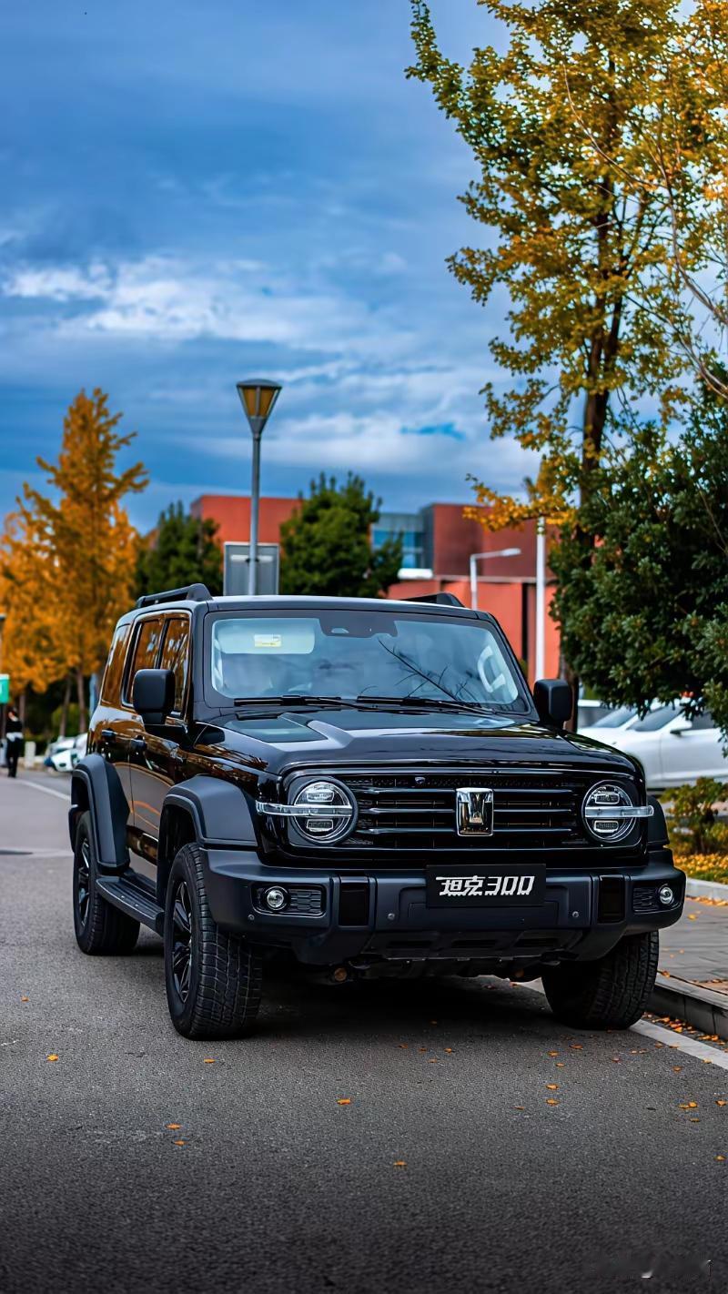 都说长城能翻身，是魏建军在硬派越野上赌对了。这话对，但也没全对。

你得想想那时