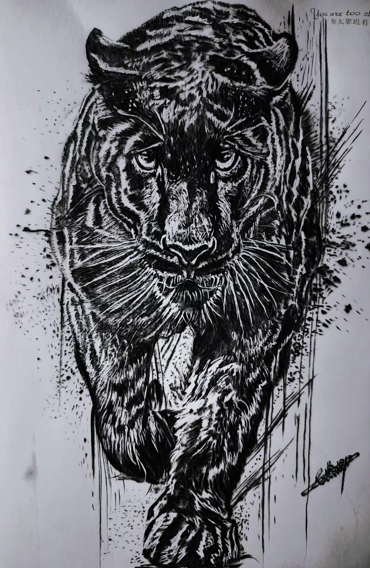 烙画宣纸黑豹。它如一道墨色闪电窜过雨林，粗短有力的四肢蹬地时带起落叶纷飞，利爪收