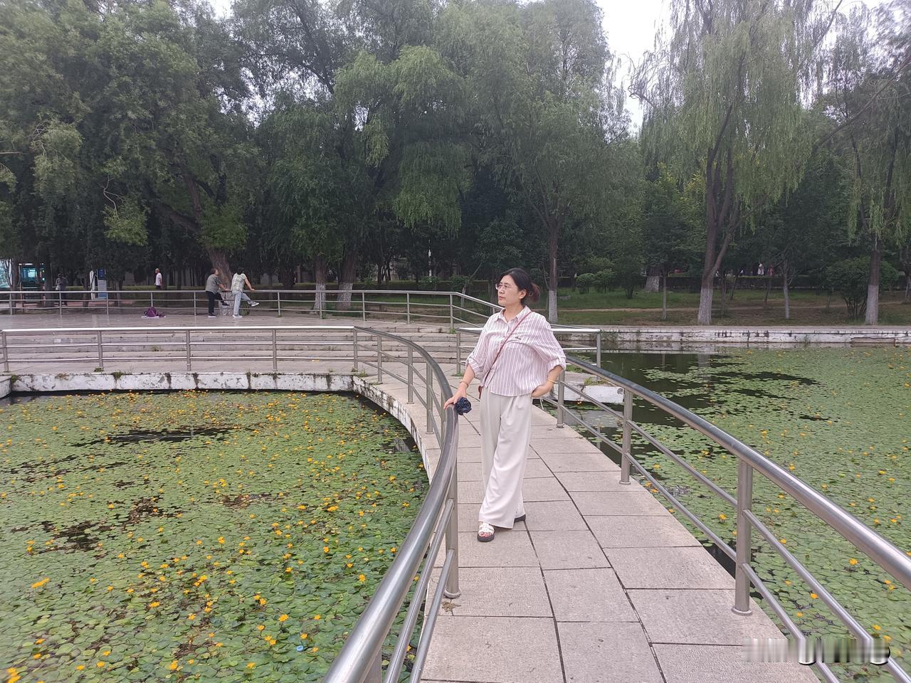 退休后第一件事
想了想退休后，一定会自由自在，睡到自然醒。

可过了一段时间后，
