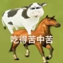 拉礼节的能不能提前去了解了解 早已停氪⃠停谷退谷一个月 们礼节版本前瞻不是你们嘴
