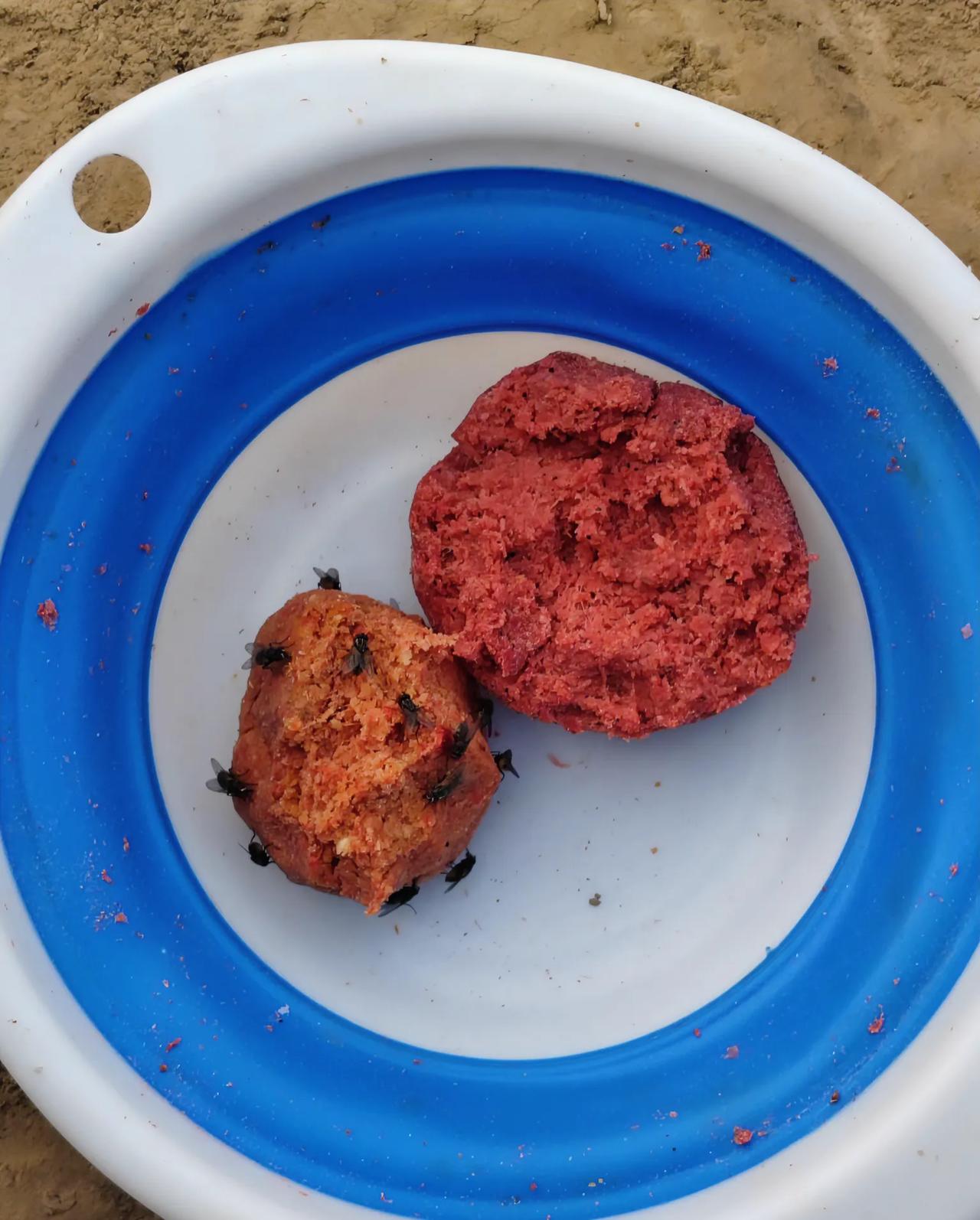 饵料这个东西，你说里面没有加科技狠活，我是不信的，你看看同样是粮食饵料，左边一团