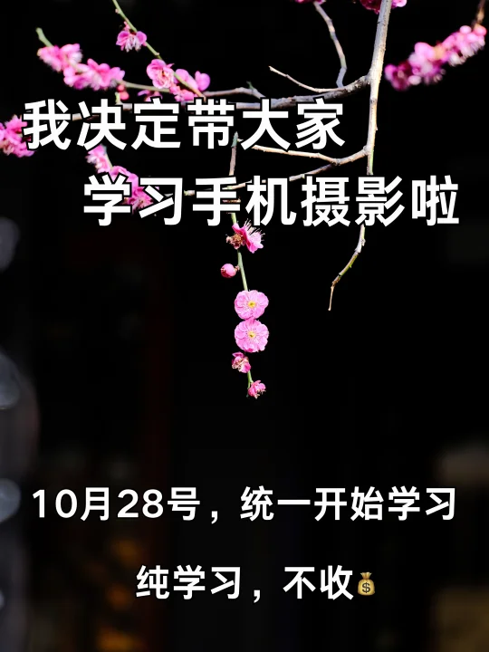 我决定带大家学习手机摄影啦！！