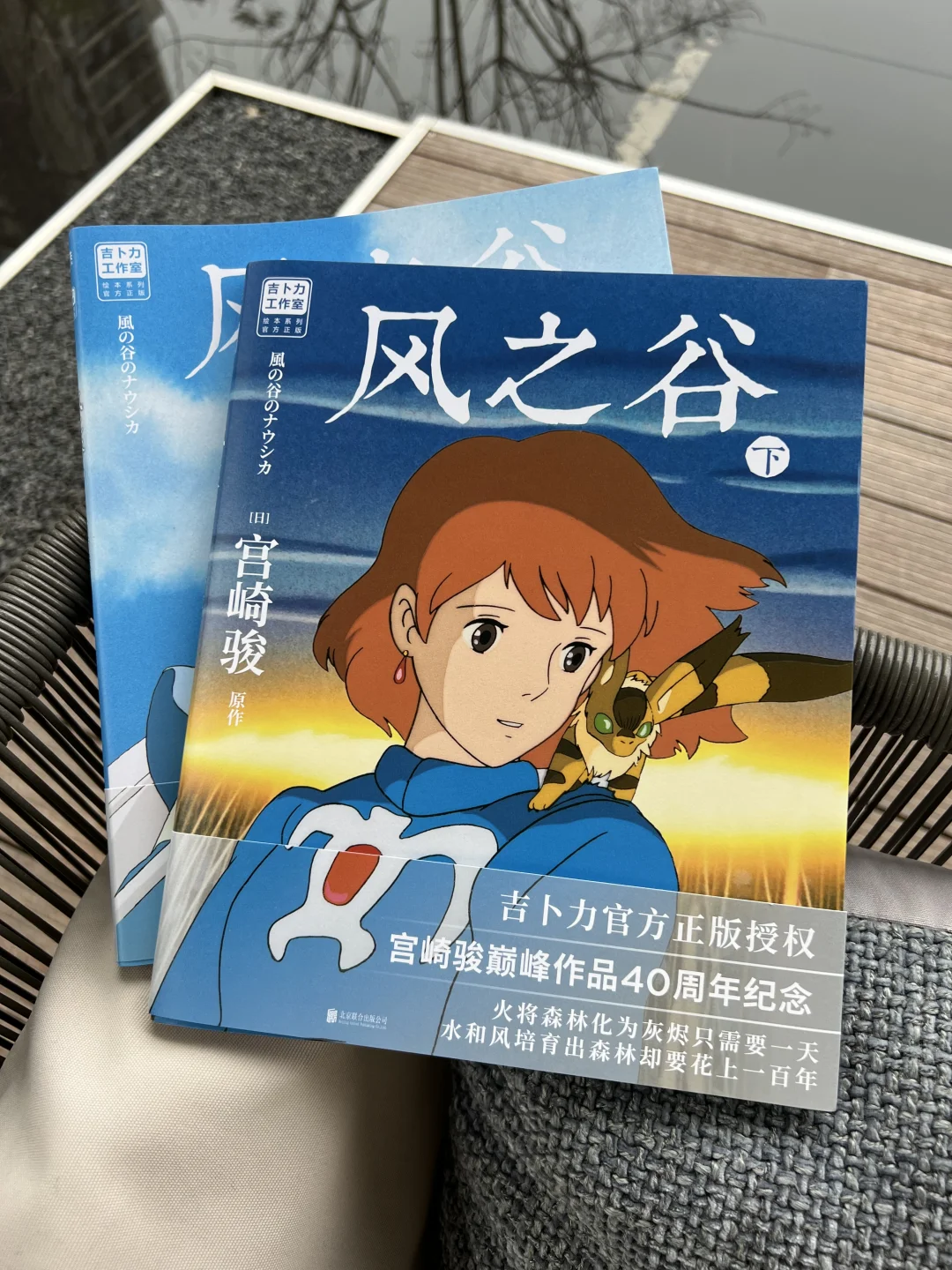 宫崎骏：我们的善良不是软肋，而是盔甲‼️