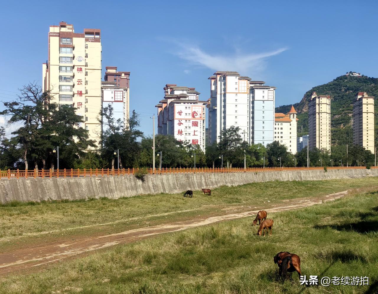 甘谷风景