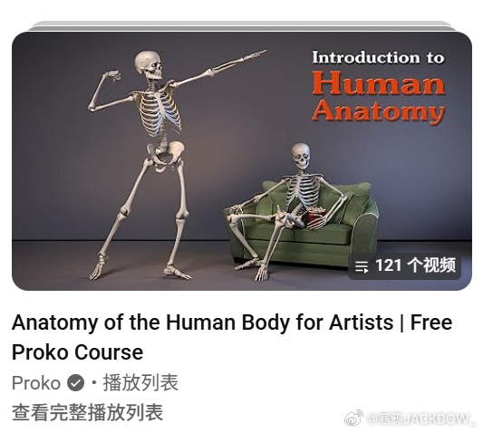 这个系列真的做的好棒，看不进去解剖书或者看着平面图难想象的人可以来看看proko