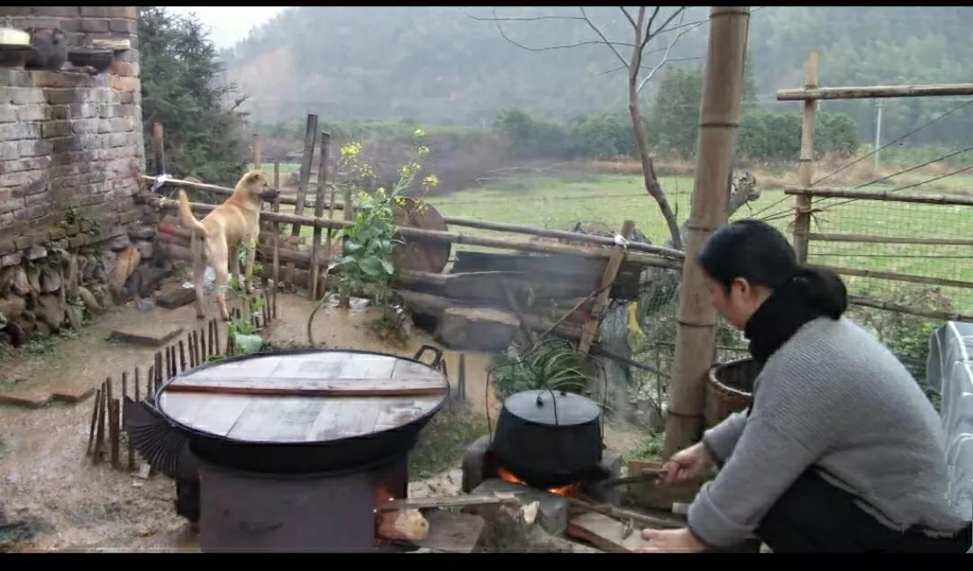 发现中国人一到暮年，就开始血脉觉醒，想要归隐田园，择一小院，种满鲜花，再开片菜园