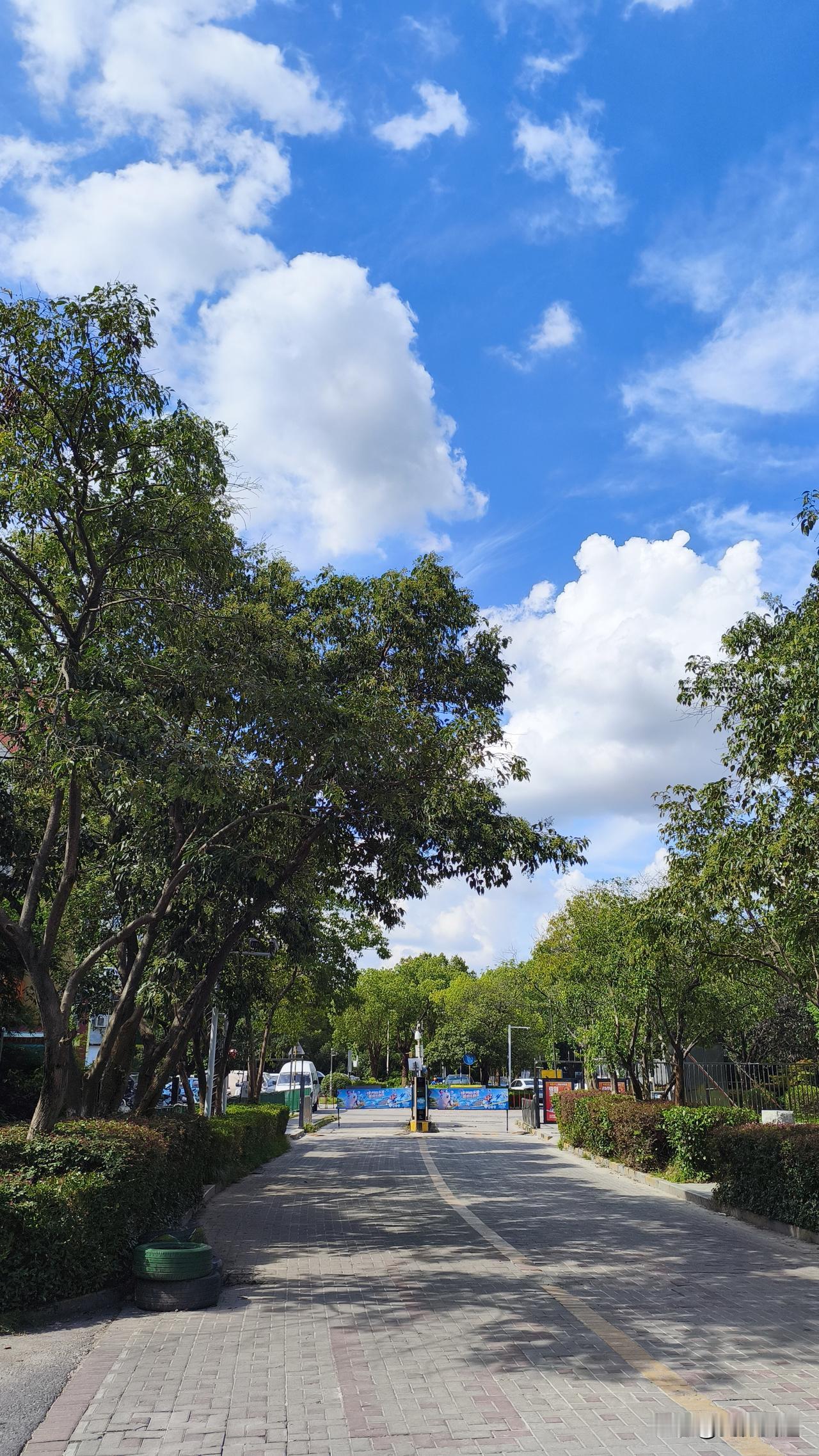 南京天气预报这事儿，有时候真让人摸不着头脑。天天预报有雨，我天天盼着，结果一抬头