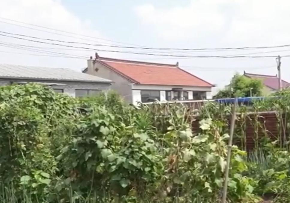 2026 年 8 月 31 日，据辽阳市公安局报道，辽宁辽阳一名有着百余起盗窃前