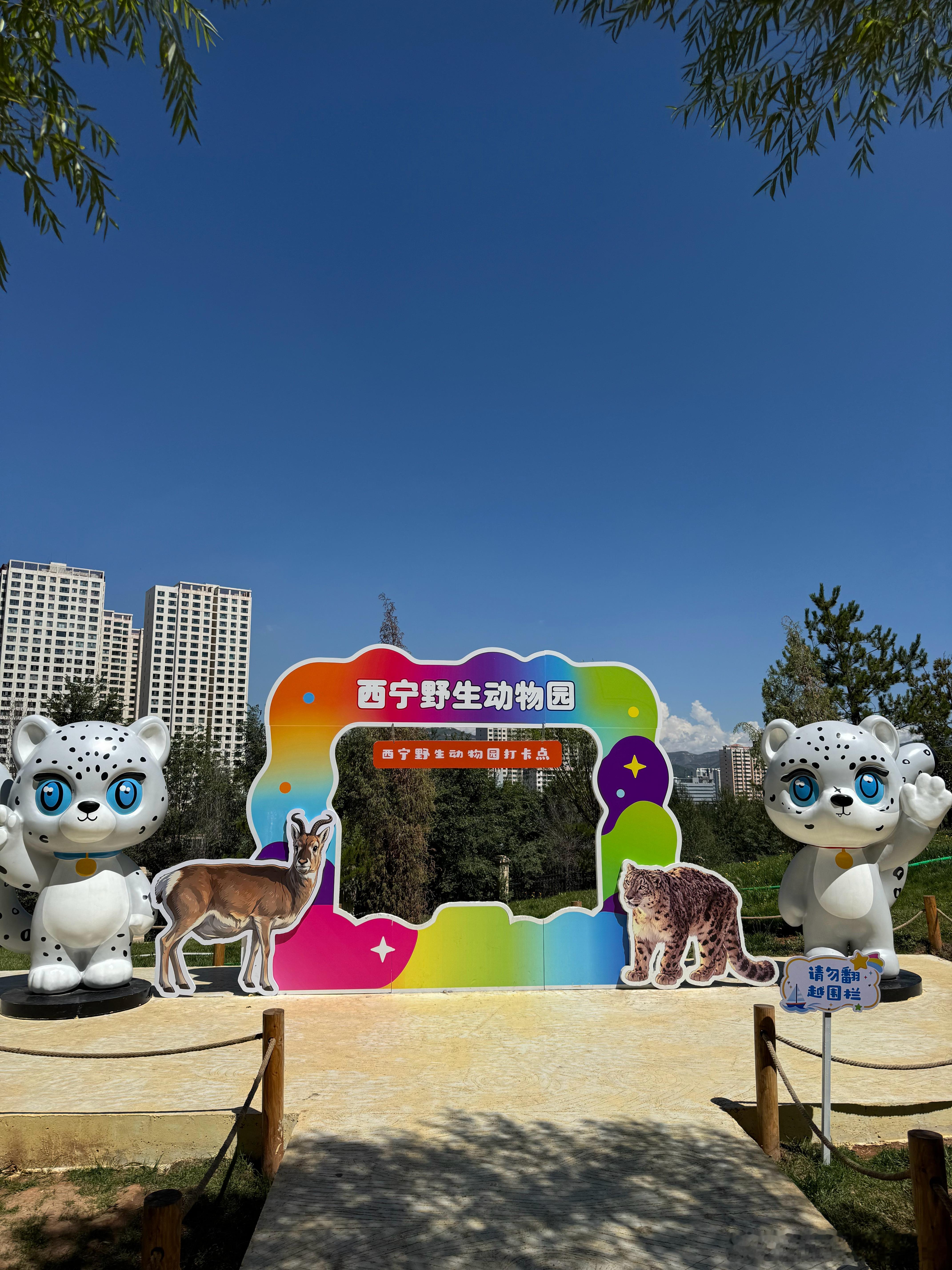 西宁海拔2261米啊我说呢～怎么爬楼梯有点喘[允悲]  ​​​