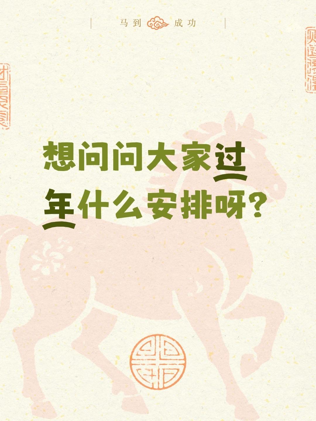 想问问大家过年什么安排呀？