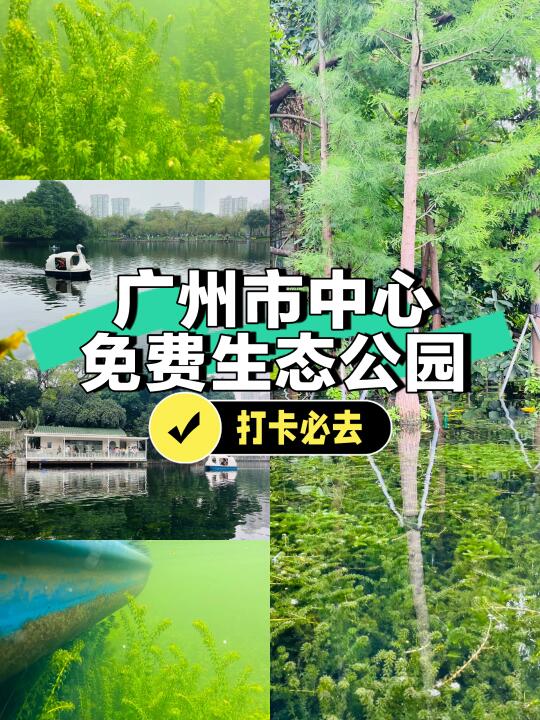 📍五一好去处‼️广州被低估的超美湖景