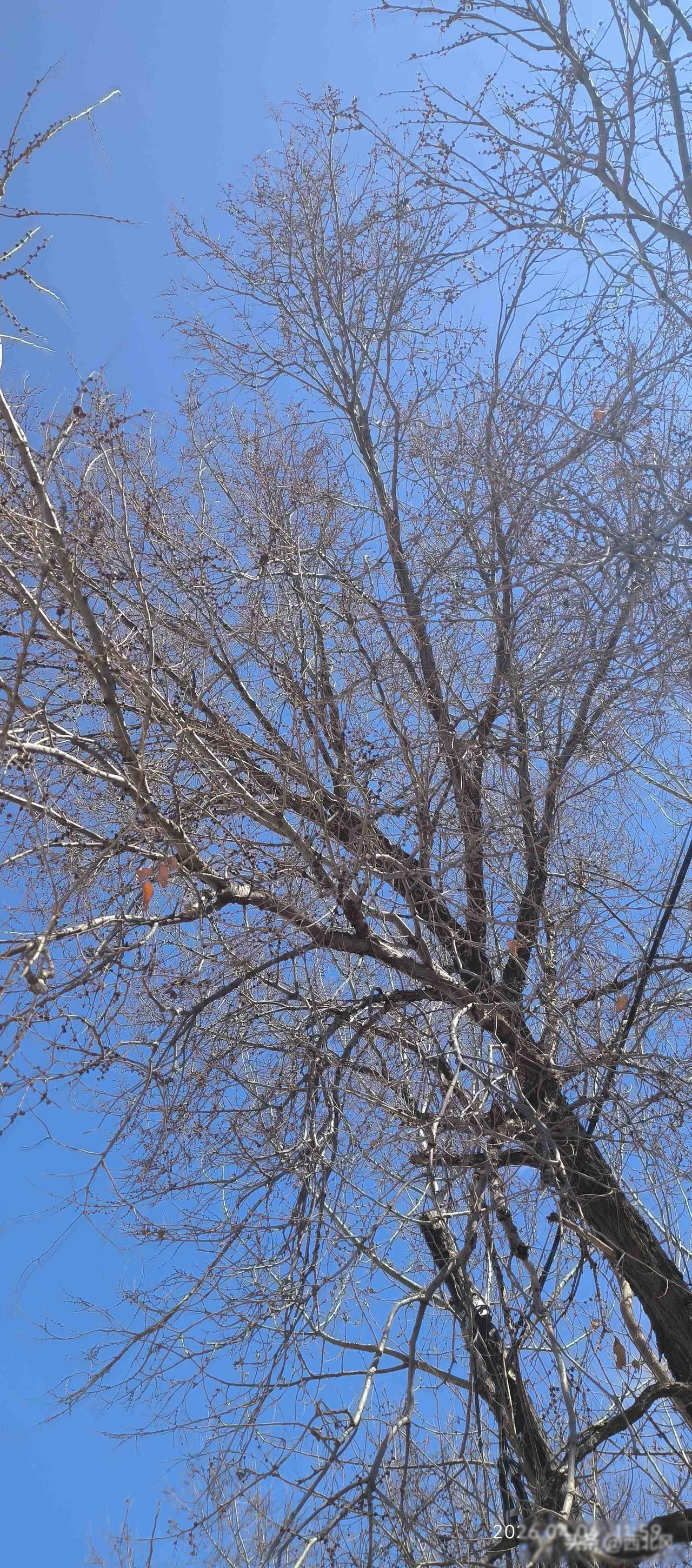 我是高血脂，每天晚上临睡前，都服用一片10mg的瑞舒伐他汀钙片，降低血脂。

