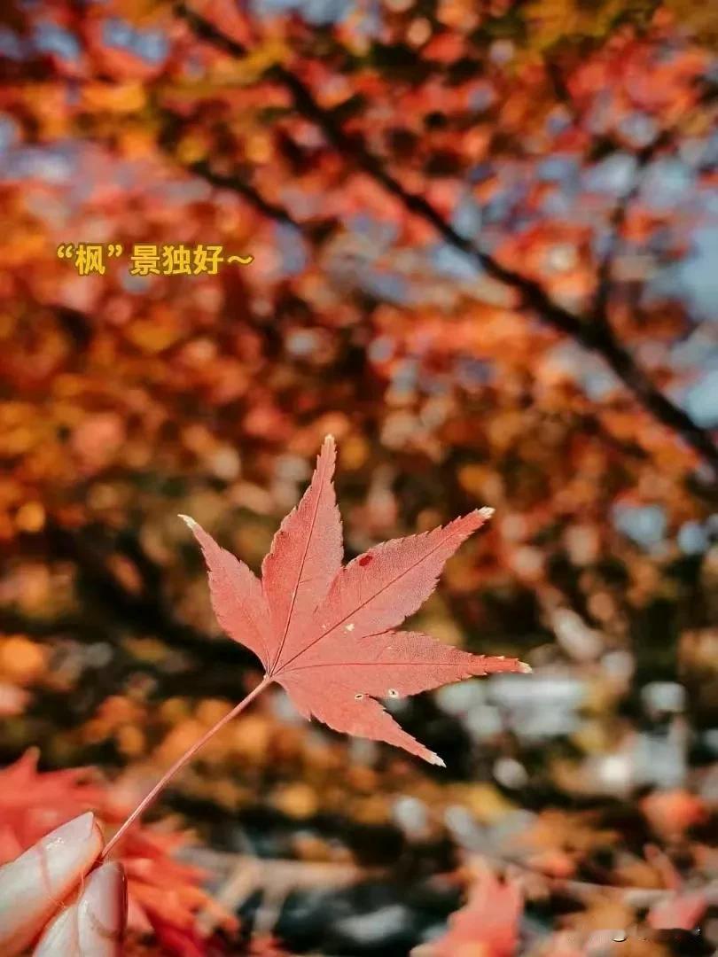 Self-discipline is the first tool to sol