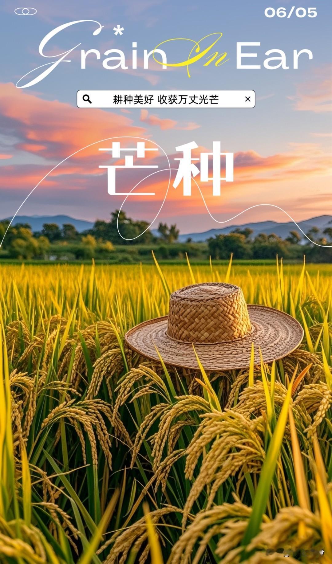 🌾²⁰²⁶/₀₆.₀₅ 芒种｜安康🌱🌿🌈
🌾芒种草木葱茏，夏风吹涌麦浪