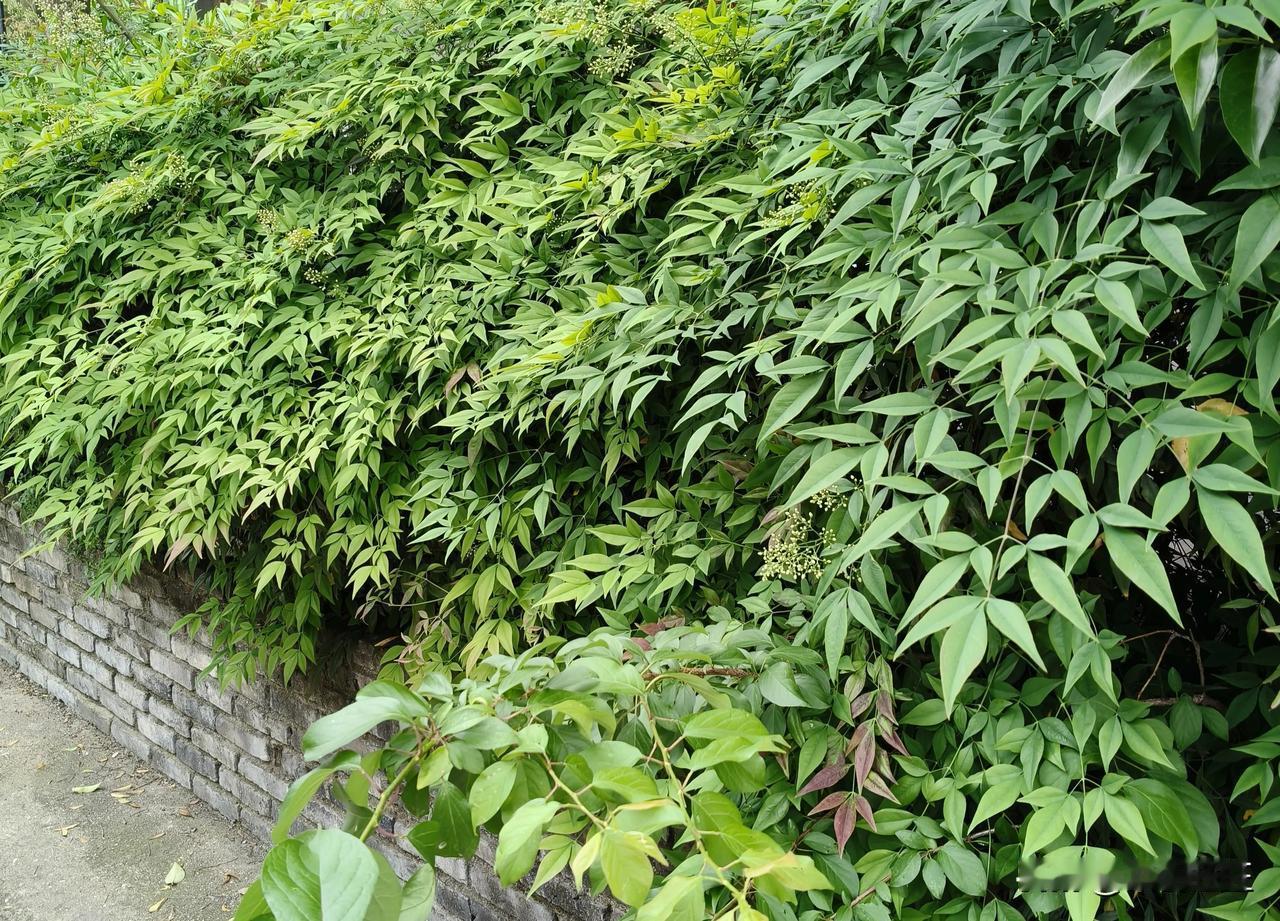 五一怎么过五一劳动节5天假期！假期你在哪里，刚刚碰到一个朋友，问他假期准备去哪里
