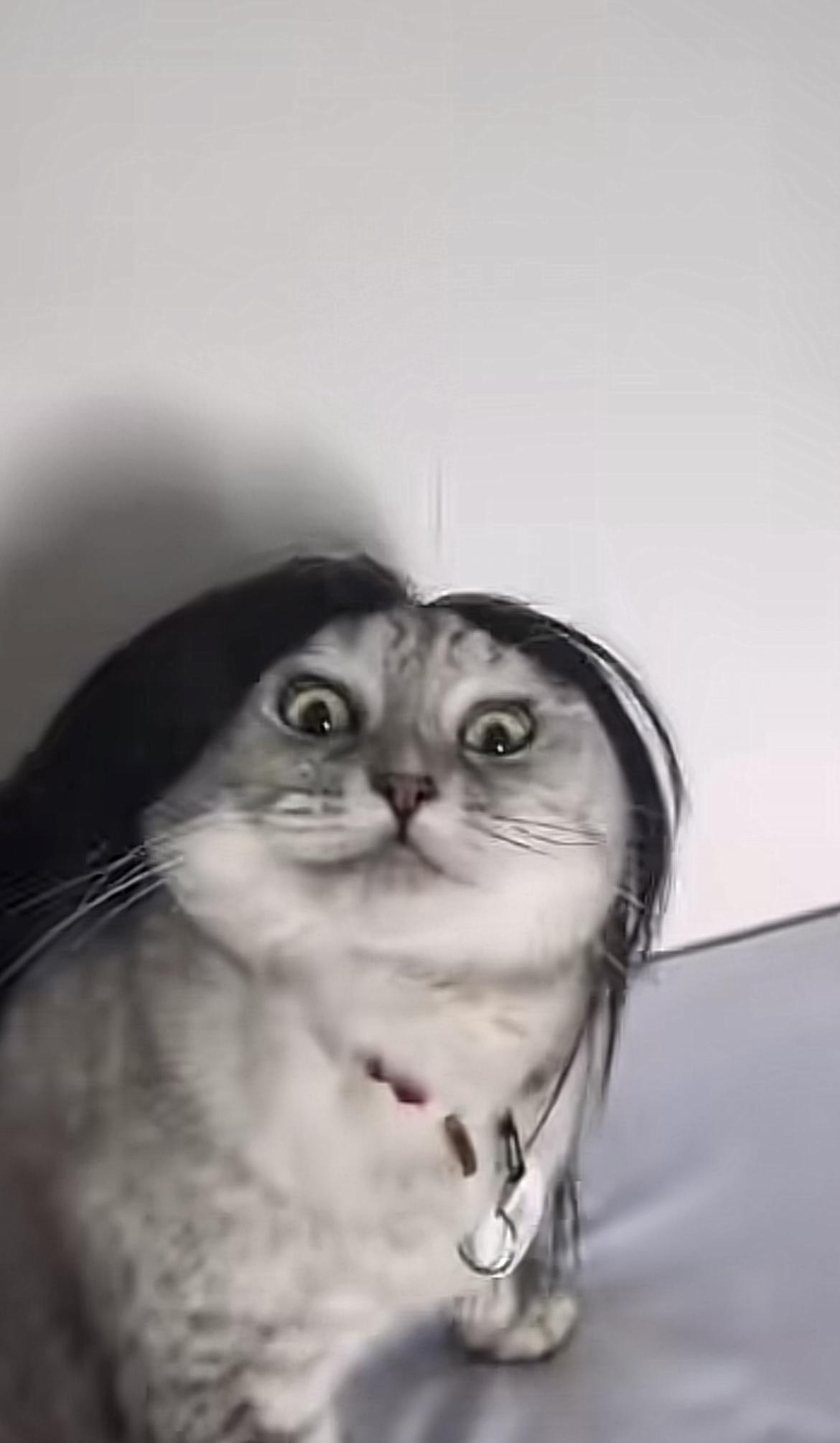 柔顺就是这么简单！